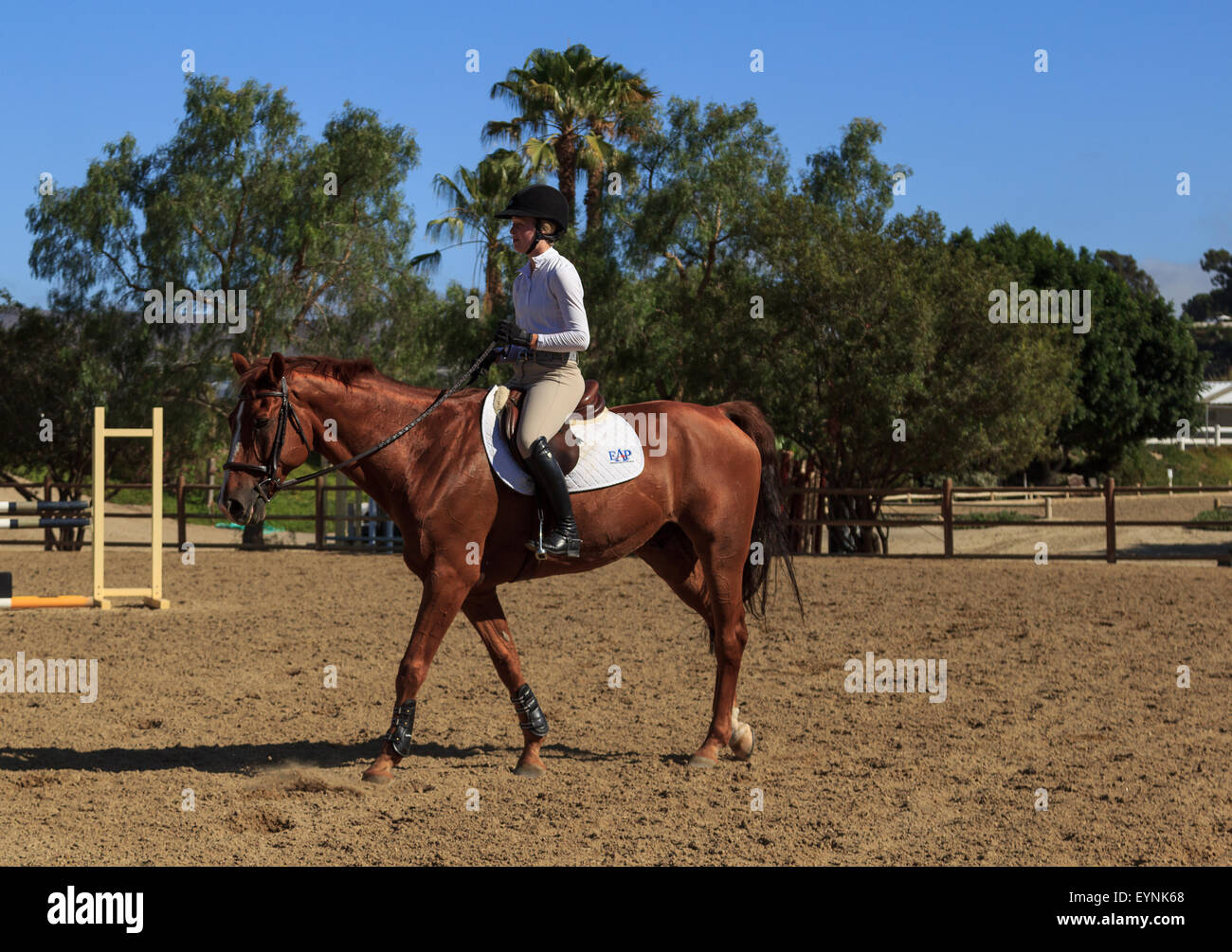 Editorial use only San Juan Capistrano, California July 26, 2015