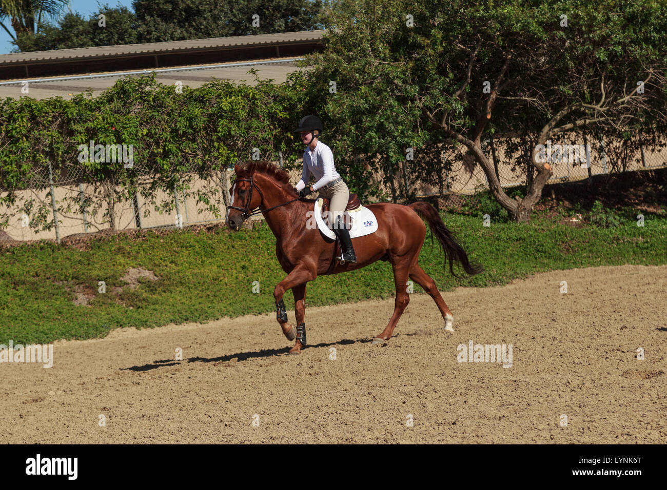 Editorial use only San Juan Capistrano, California July 26, 2015