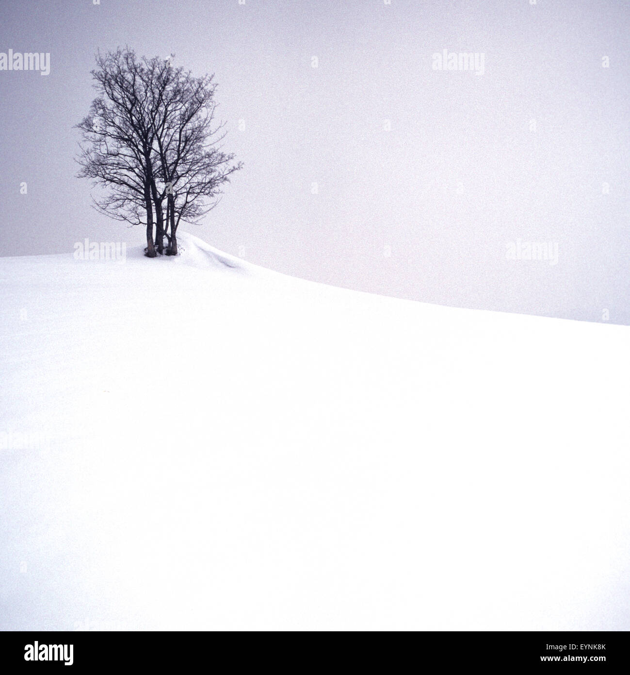 Winterlandschaft, Taunus, Stock Photo