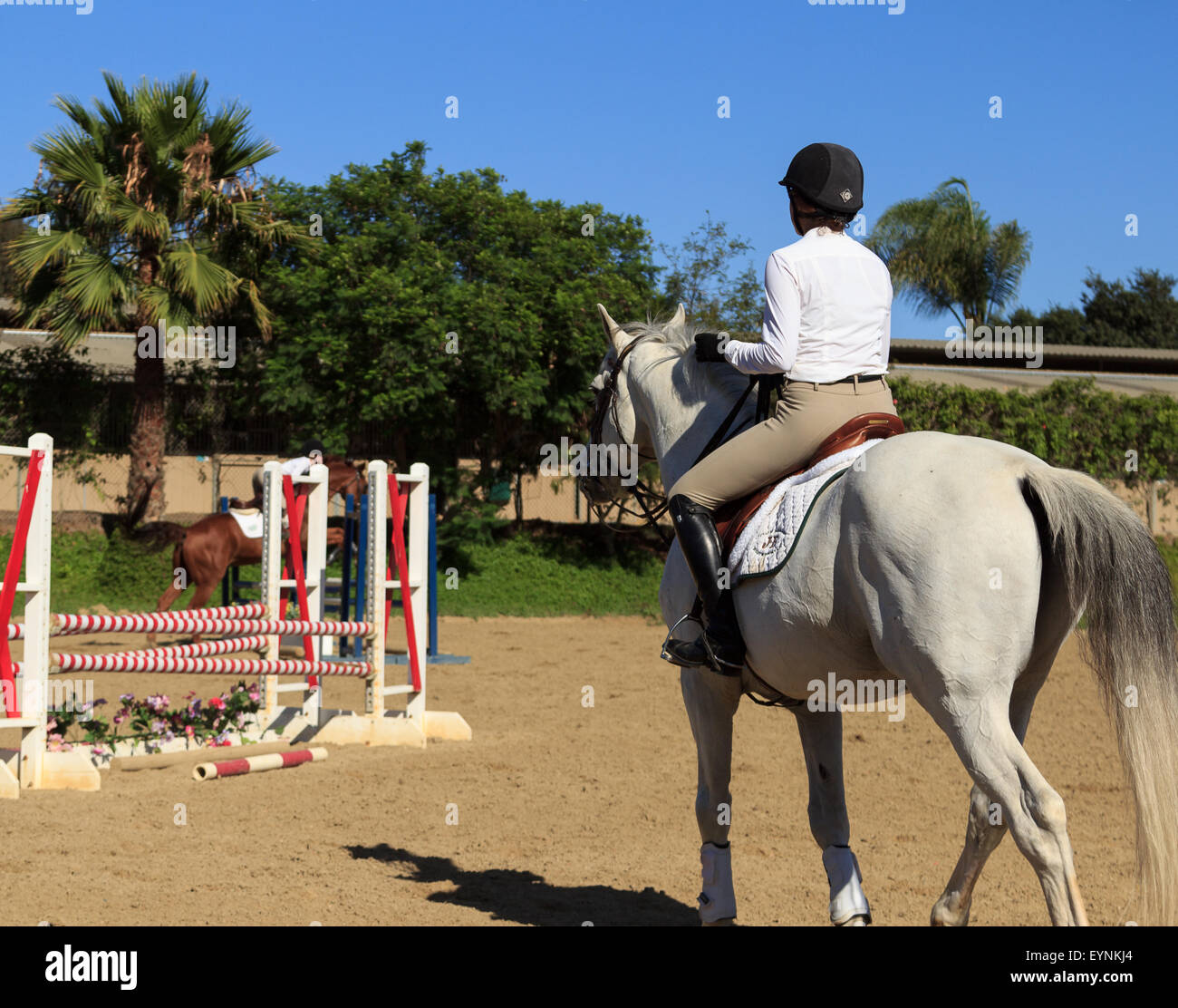 Editorial use only San Juan Capistrano, California July 26, 2015