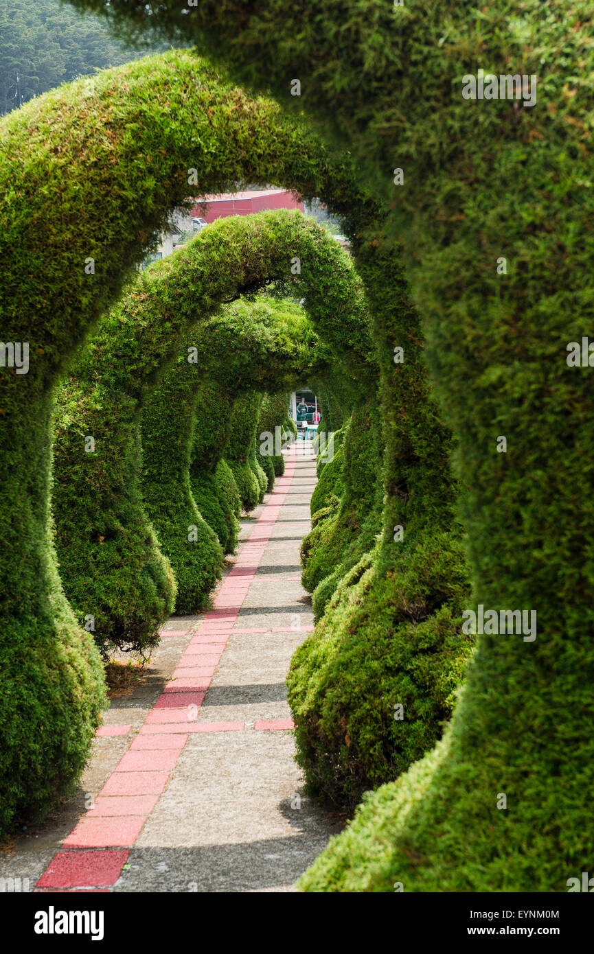 The Topiary garden in the Parque Franscisco Alvarado, Costa Rica Stock Photo
