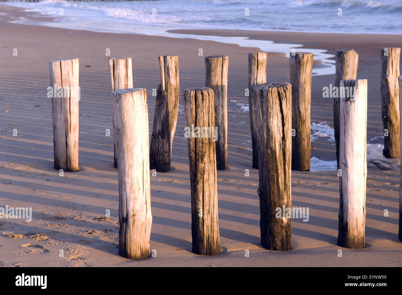 Buhnen Ostsee, Landschaft Stock Photo