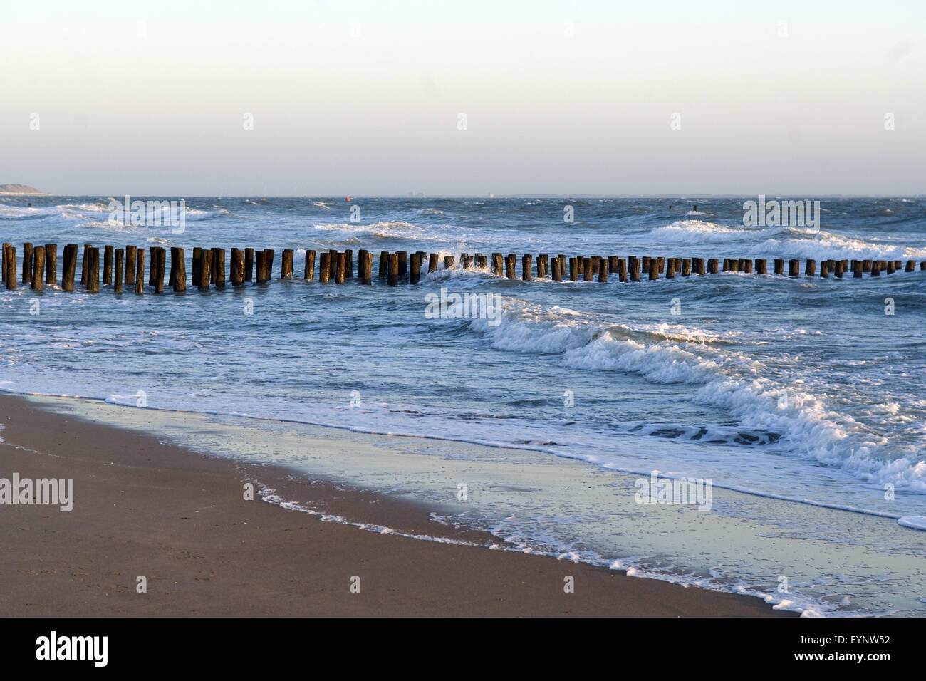 Buhnen; Nordsee, Landschaft Stock Photo