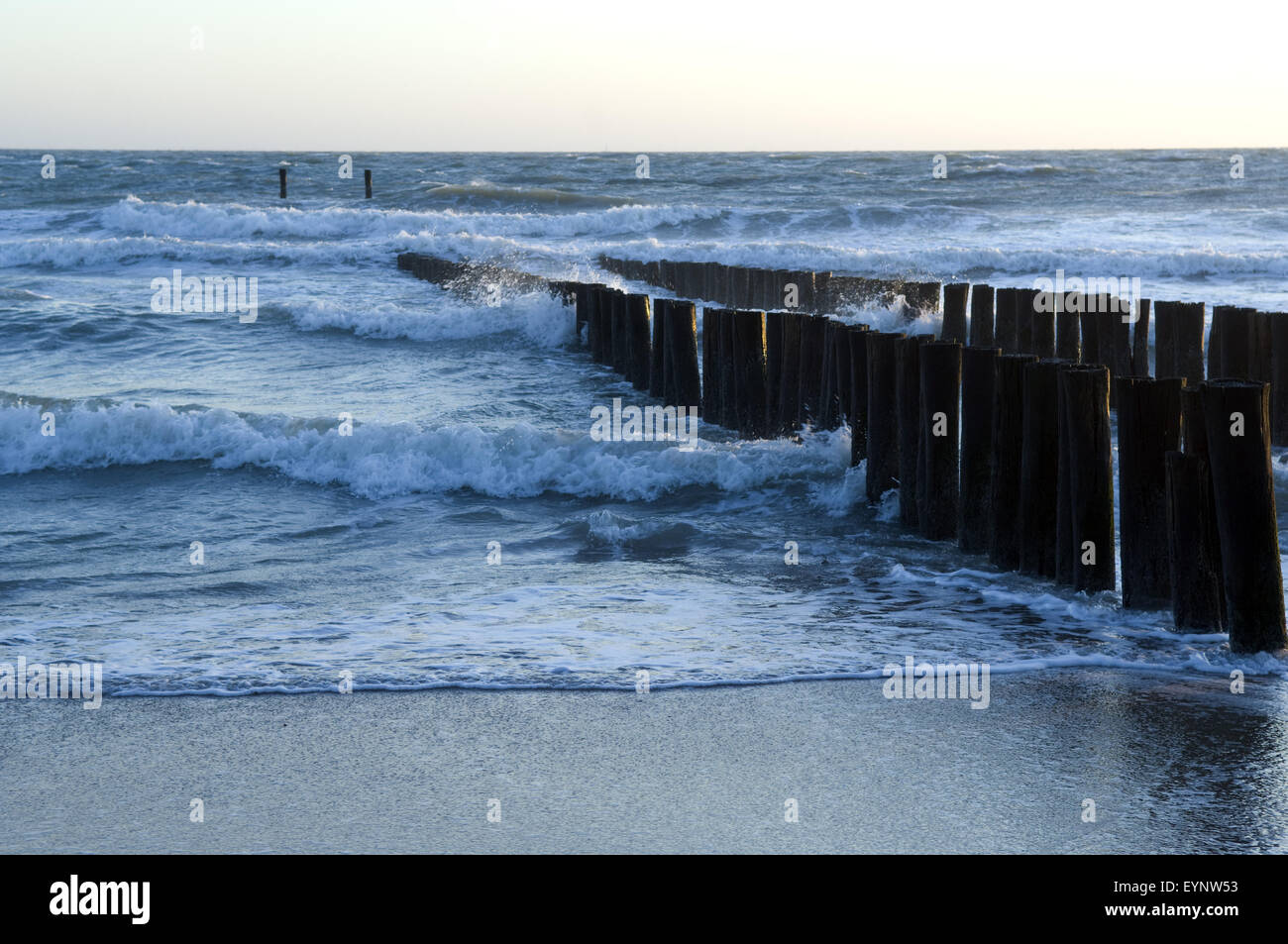 Buhnen; Nordsee, Landschaft Stock Photo