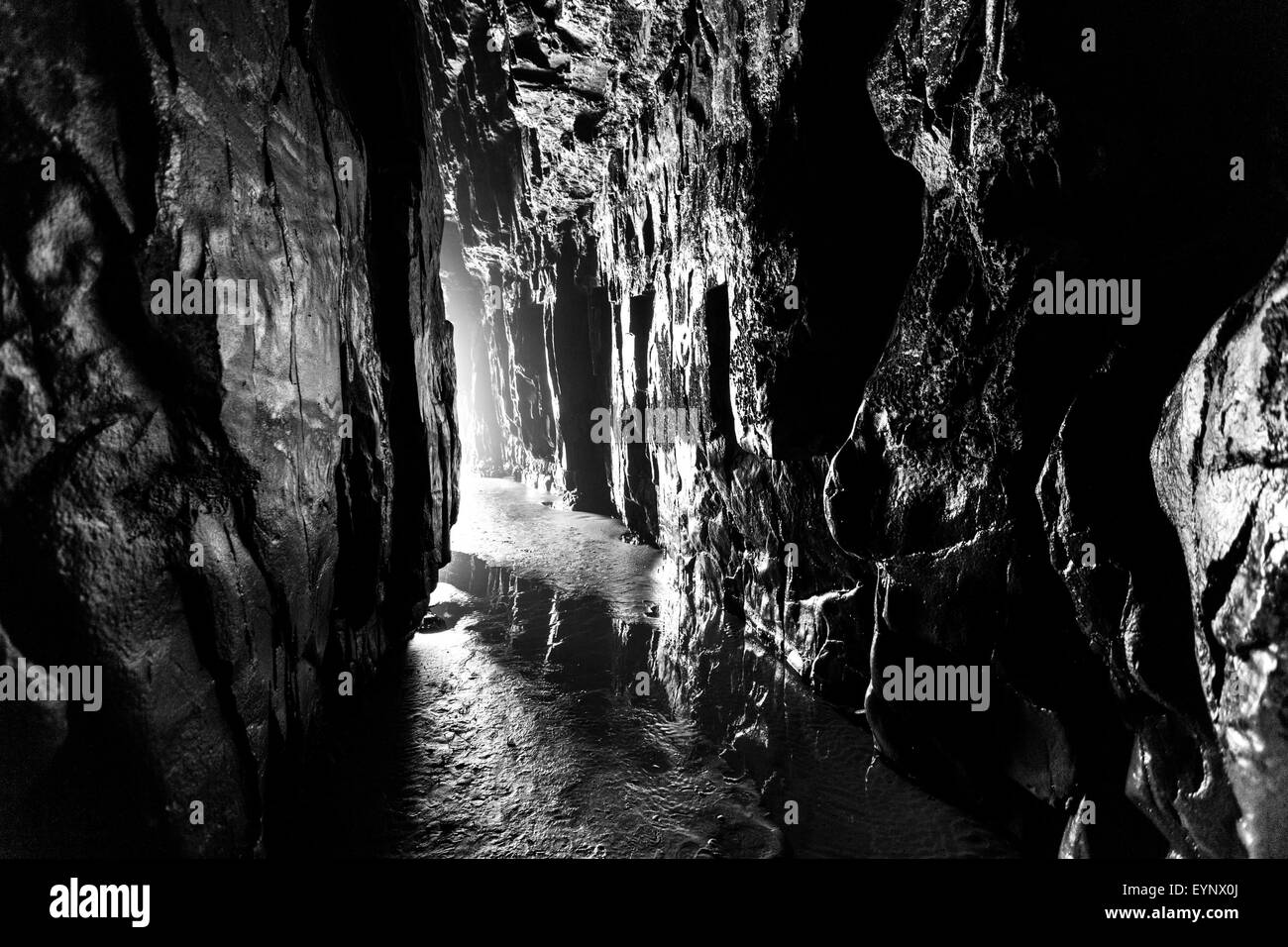 Cathedral Cave in black and white, Catlins, South Otago, South Island,New Zealand Stock Photo