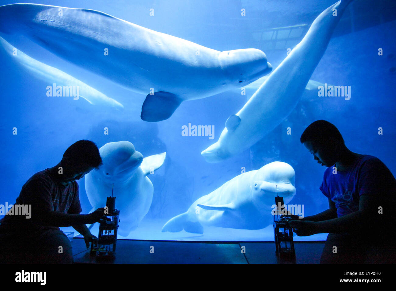 Tianjin, China. 1st Aug, 2015. Children build blocks at the Polar Aquarium in Tianjin, north China, Aug. 1, 2015. Visitors can spend the night at the aquarium, observing nocturnal behaviors of marine creatures. Credit:  Li Xiang/Xinhua/Alamy Live News Stock Photo