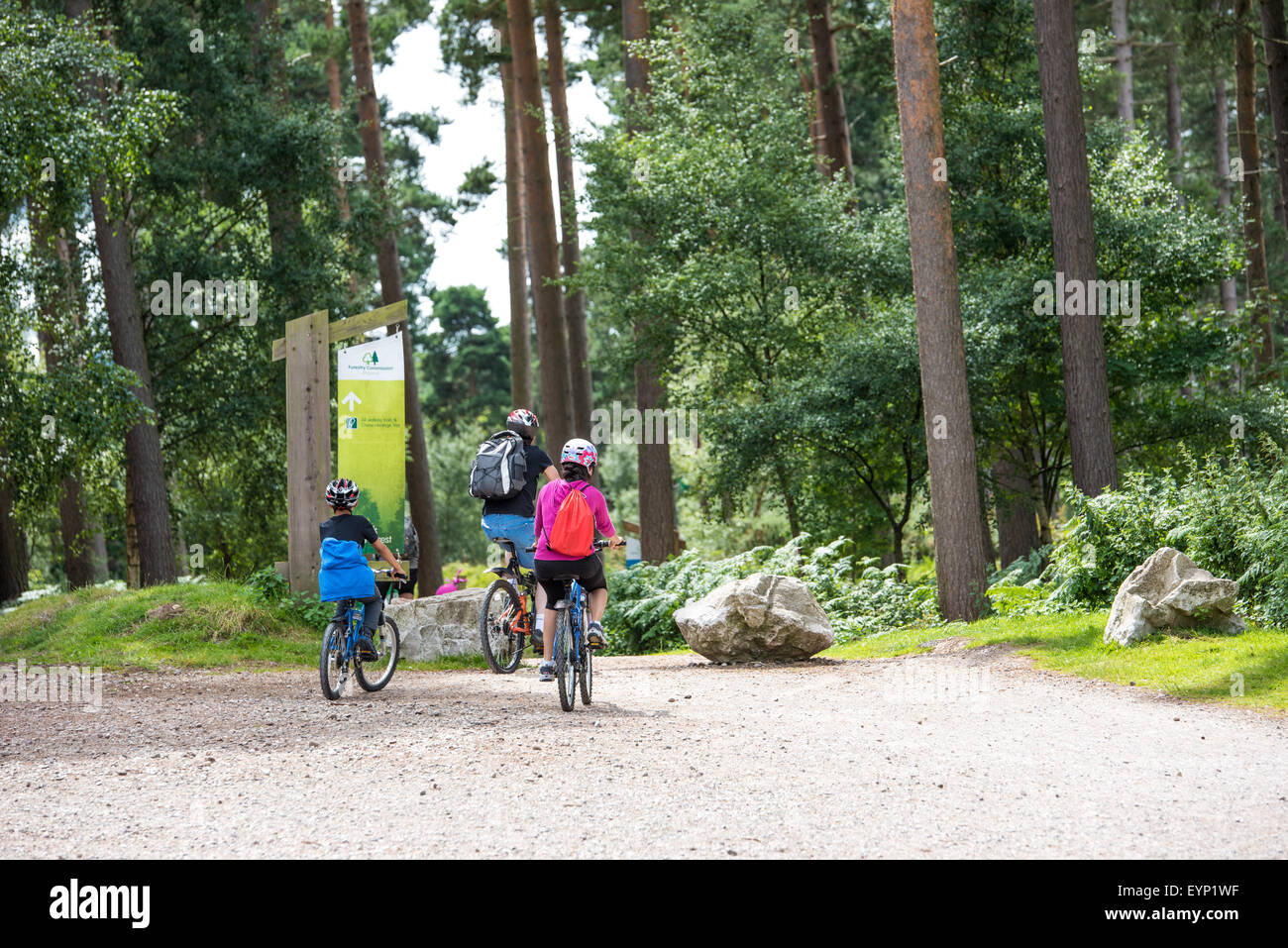 Cyclists on their mountain bikes on a trail at Go Ape activity centre cannock chase Staffordshire West Midlands uk Stock Photo
