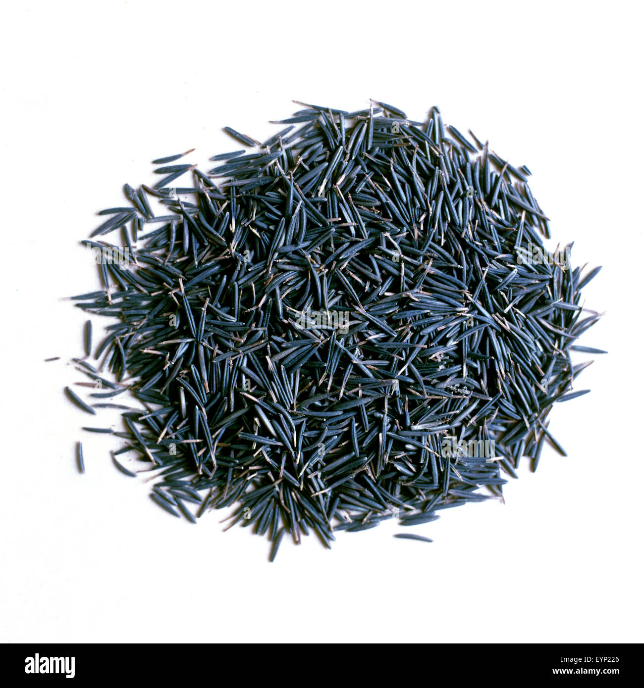 Kerbel, Anthriscus, Cerefolium, Garten-Kerbel, Heilpflanzen Stock Photo ...
