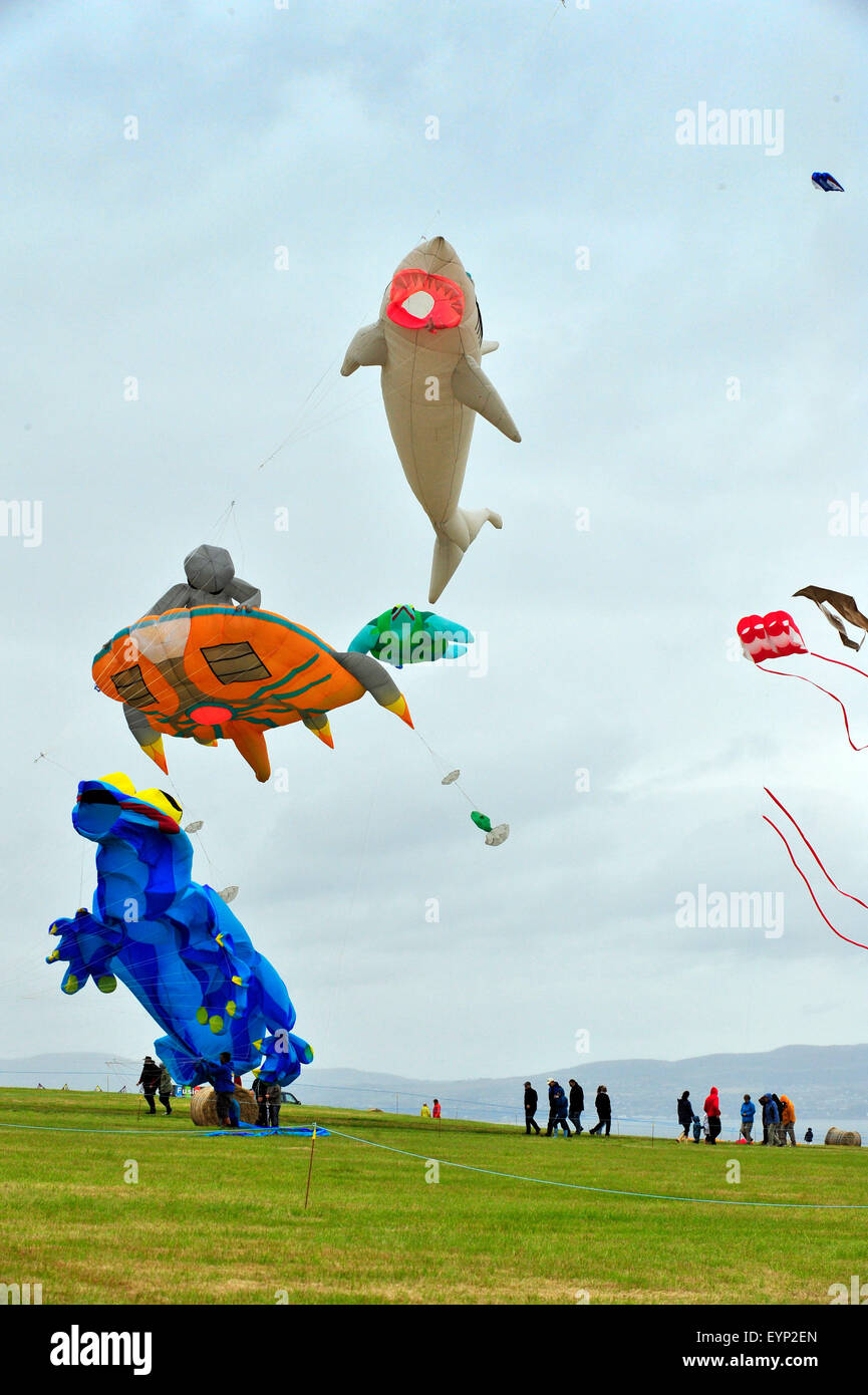 Downhill Demesne Kite Festival, County Londonderry, Northern Ireland