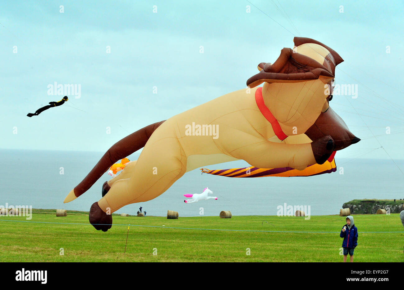 Downhill Demesne Kite Festival, County Londonderry, Northern Ireland
