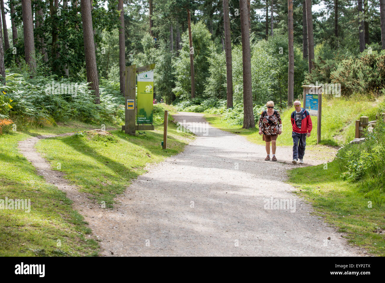 A couple walking  along forest path at Cannock Chase Staffordshire West Midlands UK Stock Photo
