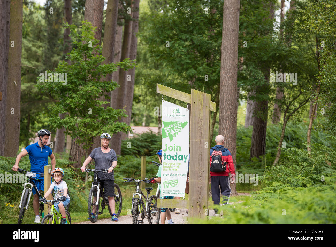 A family of cyclists on a trail path at Go Ape Activity Centre , Cannock Chase Staffordshire West Midlands UK Stock Photo