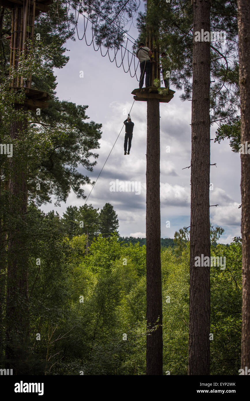 A Man On A High Rope Zip Wire In The Tree Tops At Go Ape Activity Centre Cannock Chase Staffordshire West Midlands Uk Stock Photo Alamy