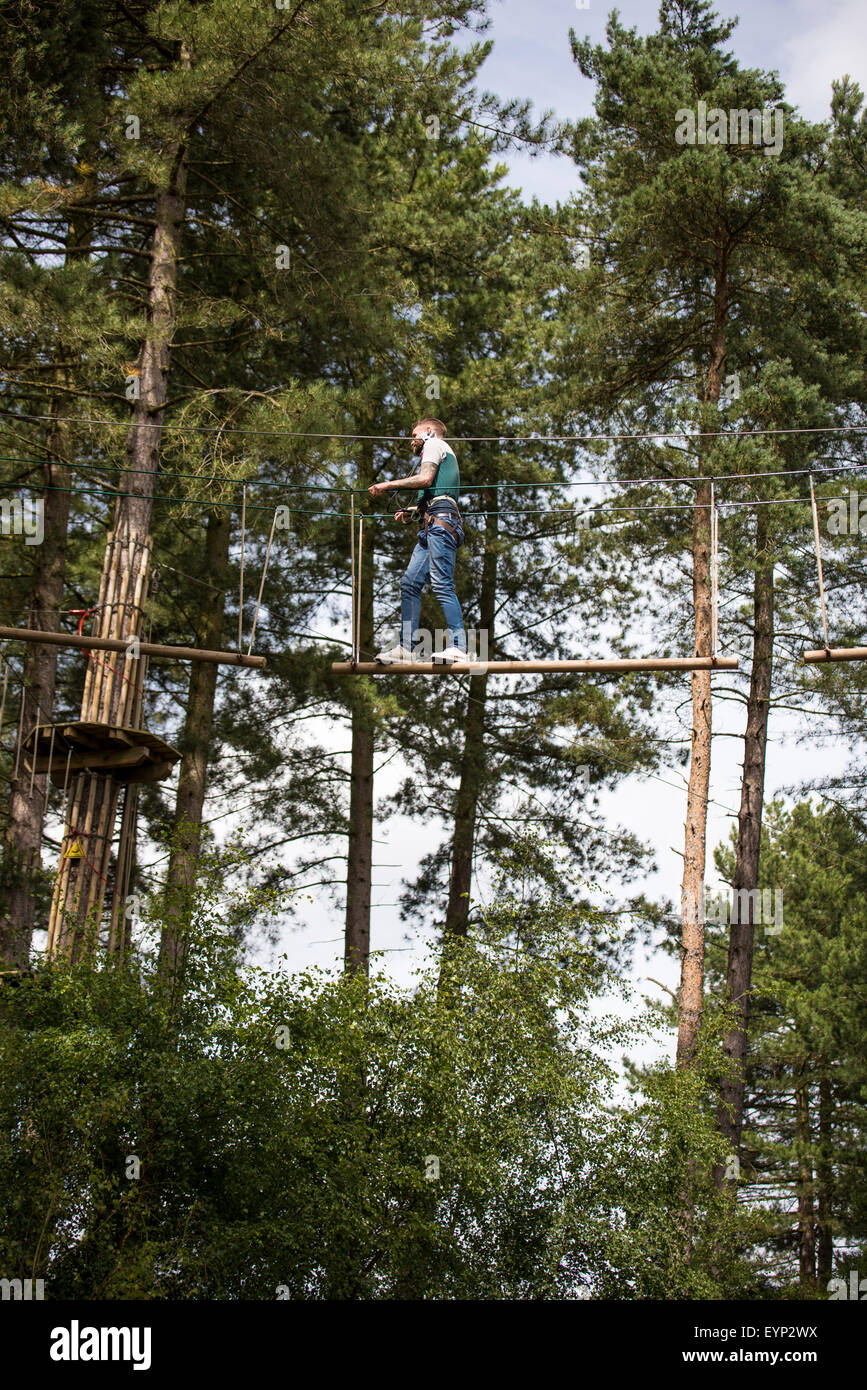 A man on a high rope in the tree tops at Go Ape Activity Centre , Cannock Chase Staffordshire West Midlands UK Stock Photo