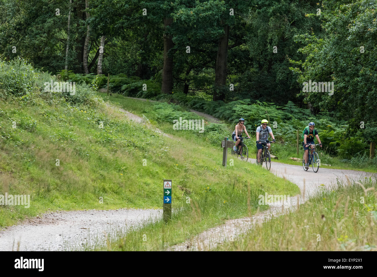 Three Cyclists riding on their mountain bikes on a trail at Go Ape activity centre cannock chase Staffordshire West Midlands Stock Photo