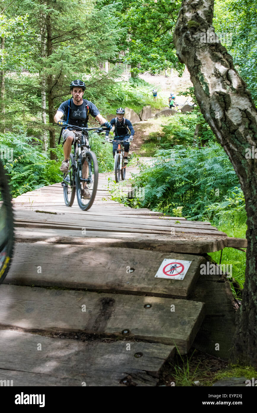 Cyclists cross a bridge on their mountain bikes on a trail at Go Ape activity centre cannock chase Staffordshire West Stock Photo