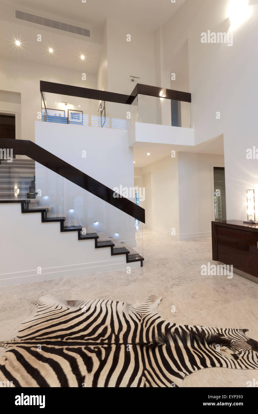 Luxurious hallway with zebra skin carpet in front of a modern style ...