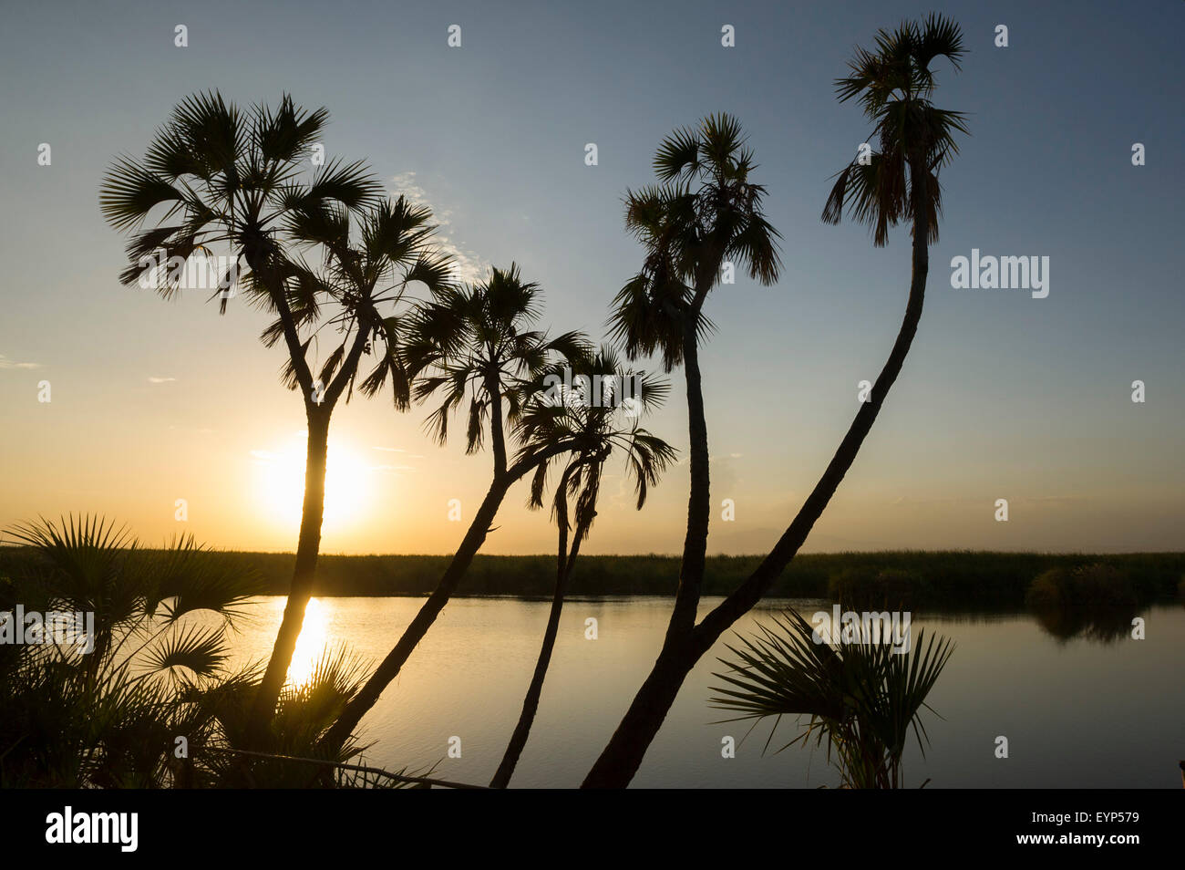 Doho awash hi-res stock photography and images - Alamy