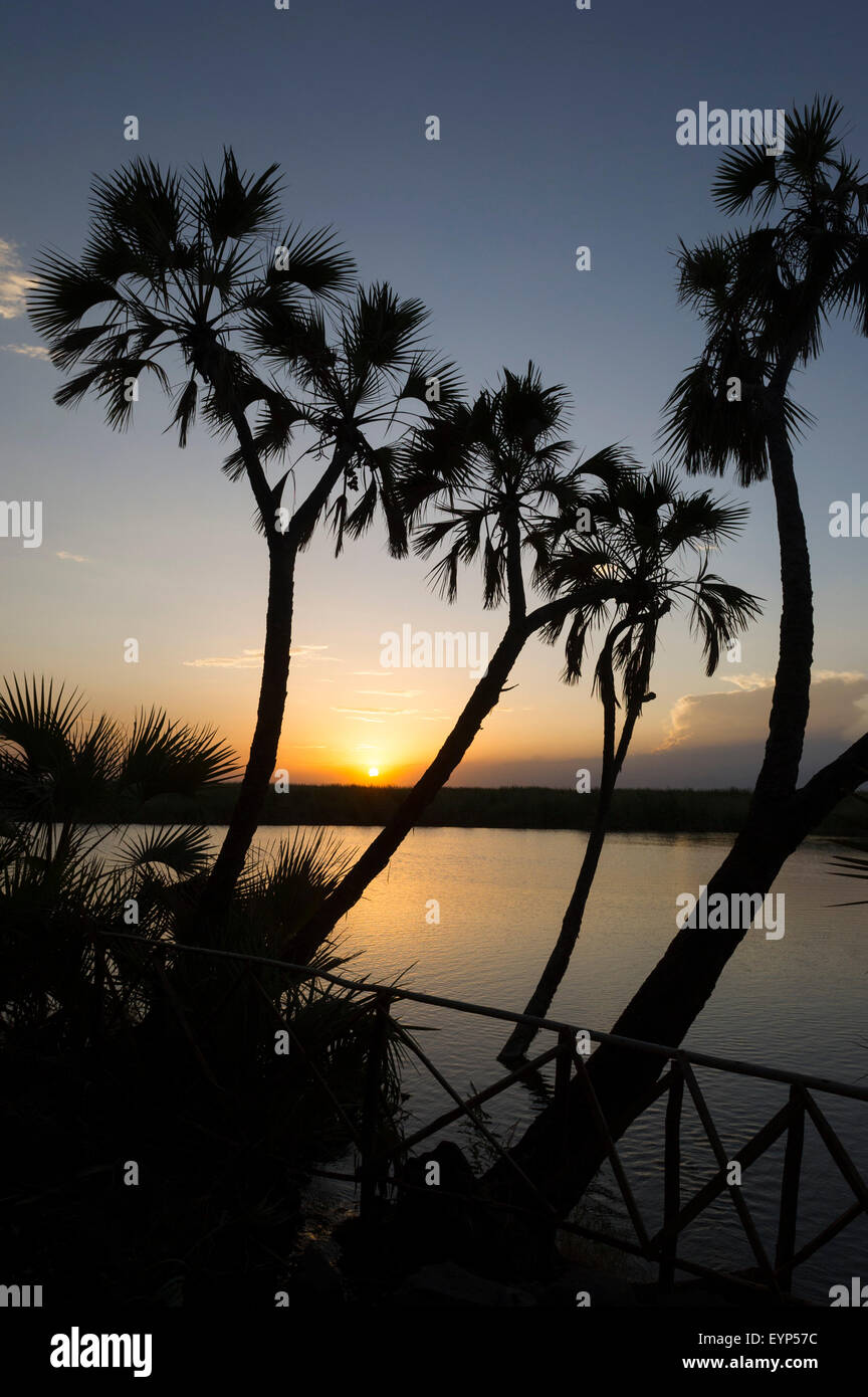 Sunset over Doho Hot Springs, Awash National Park, Ethiopia Stock Photo ...