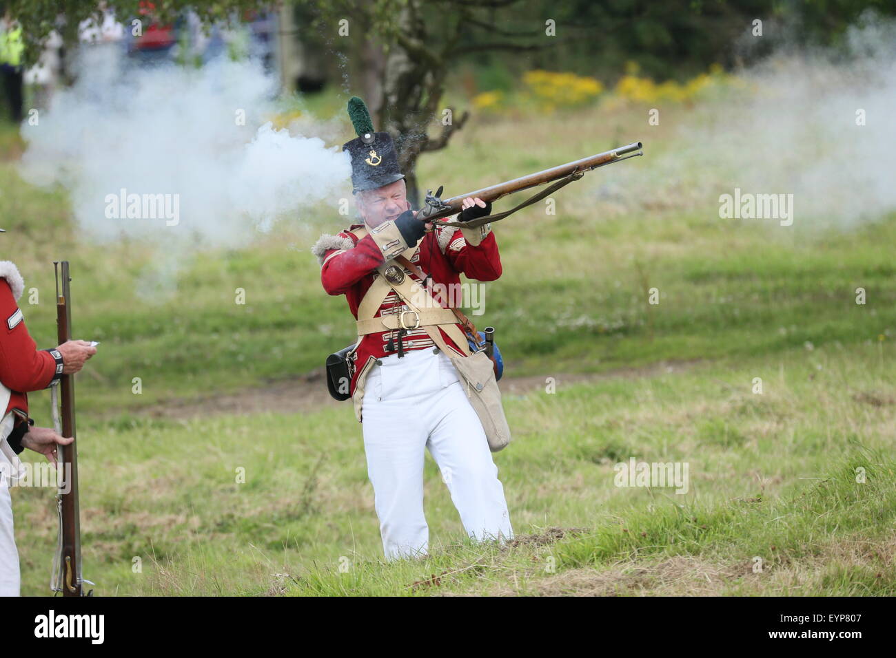 County Wexford, Ireland. 2nd Aug, 2015.Image from the Battle of Vinegar
