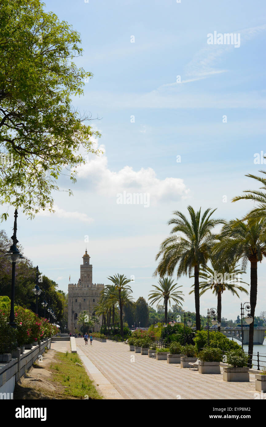 The Torre del Oro Watchtower in Seville, Andalusia, Spain Stock Photo
