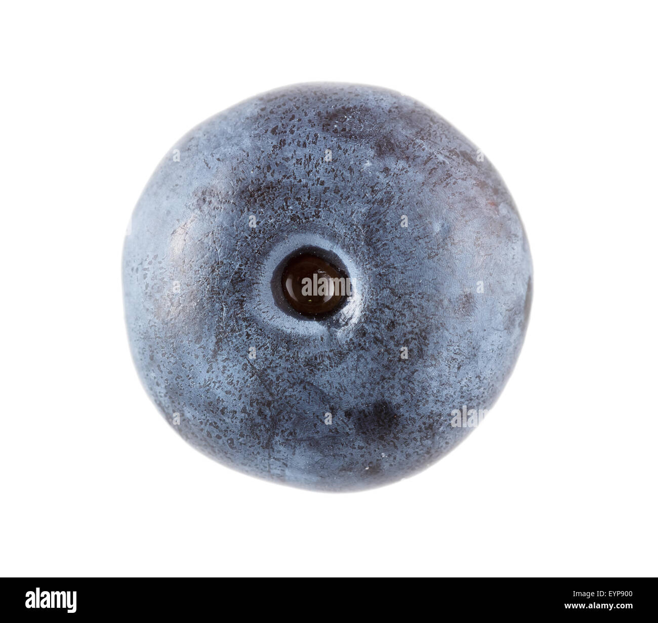 Top view of a single blueberry against a white background Stock Photo