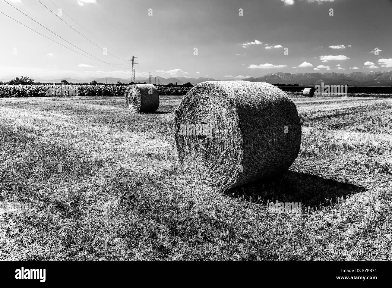 storm is coming on a field with hay bales Stock Photo Alamy