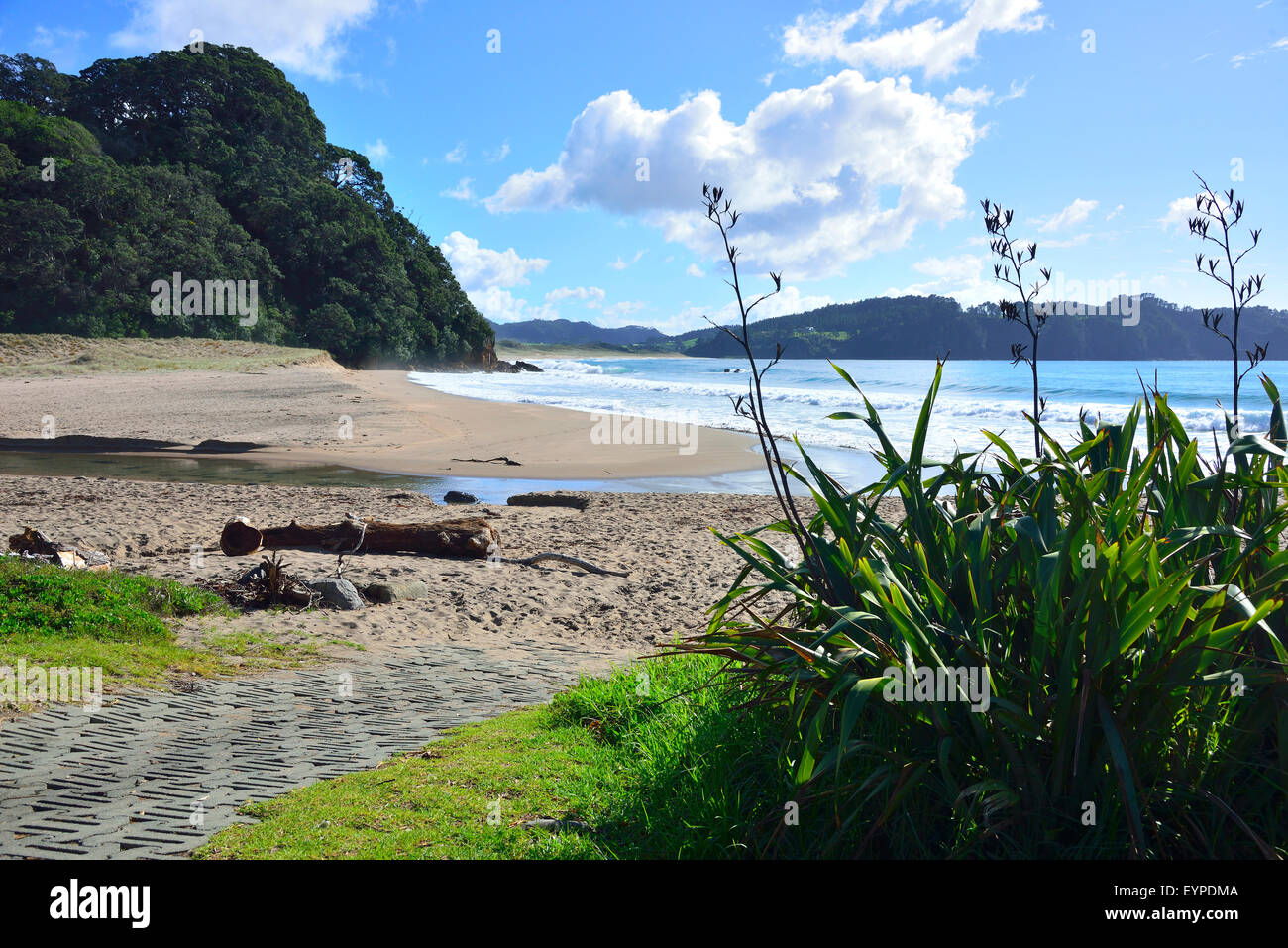View of the beautiful Hot Water Beach, Mercury Bay,Coromandel Peninsula, North Island, New Zealand Stock Photo