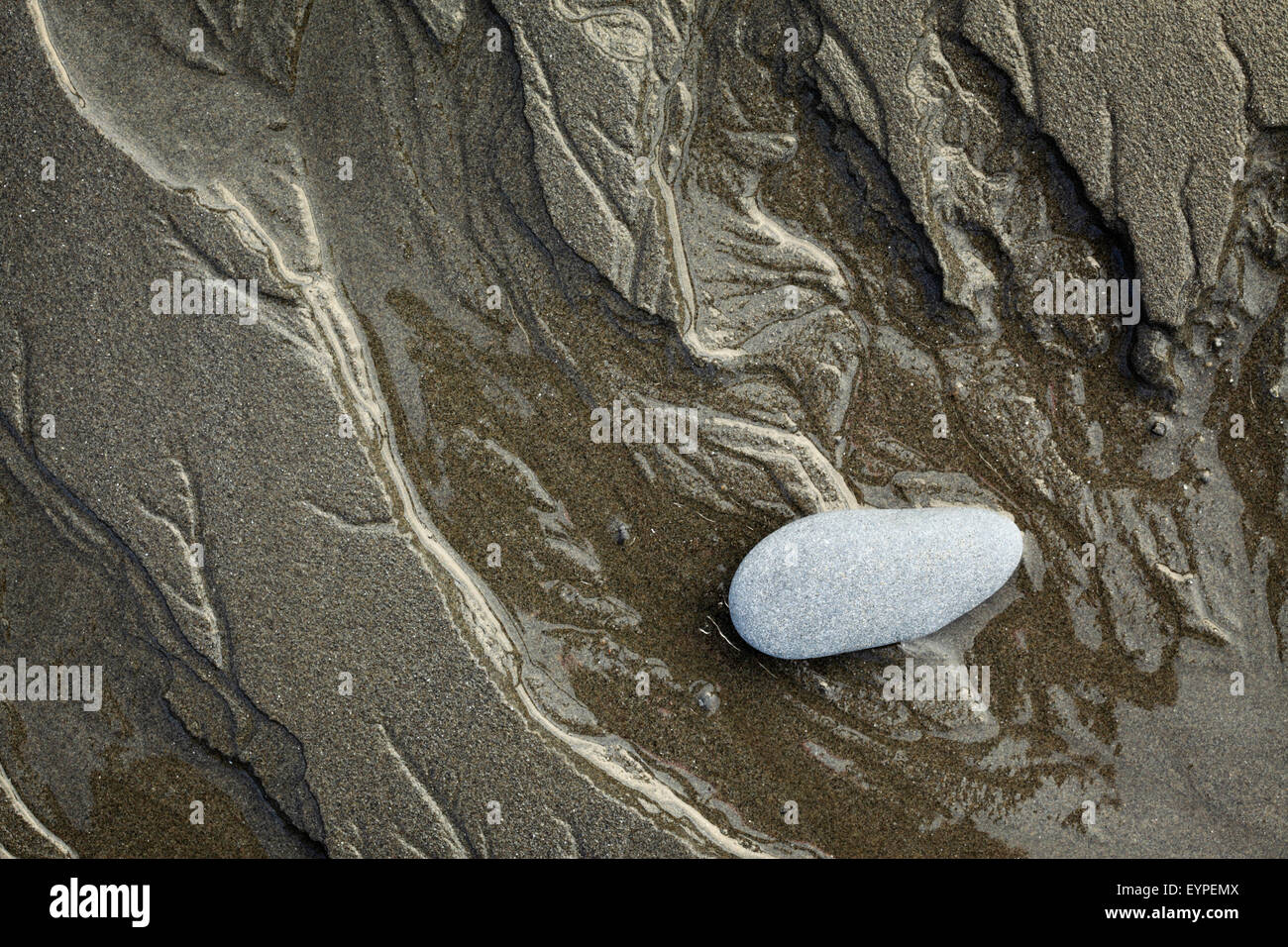 Rocks and tide runnels at low tide on Ruby Beach in Olympic National Park, Washington Stock Photo