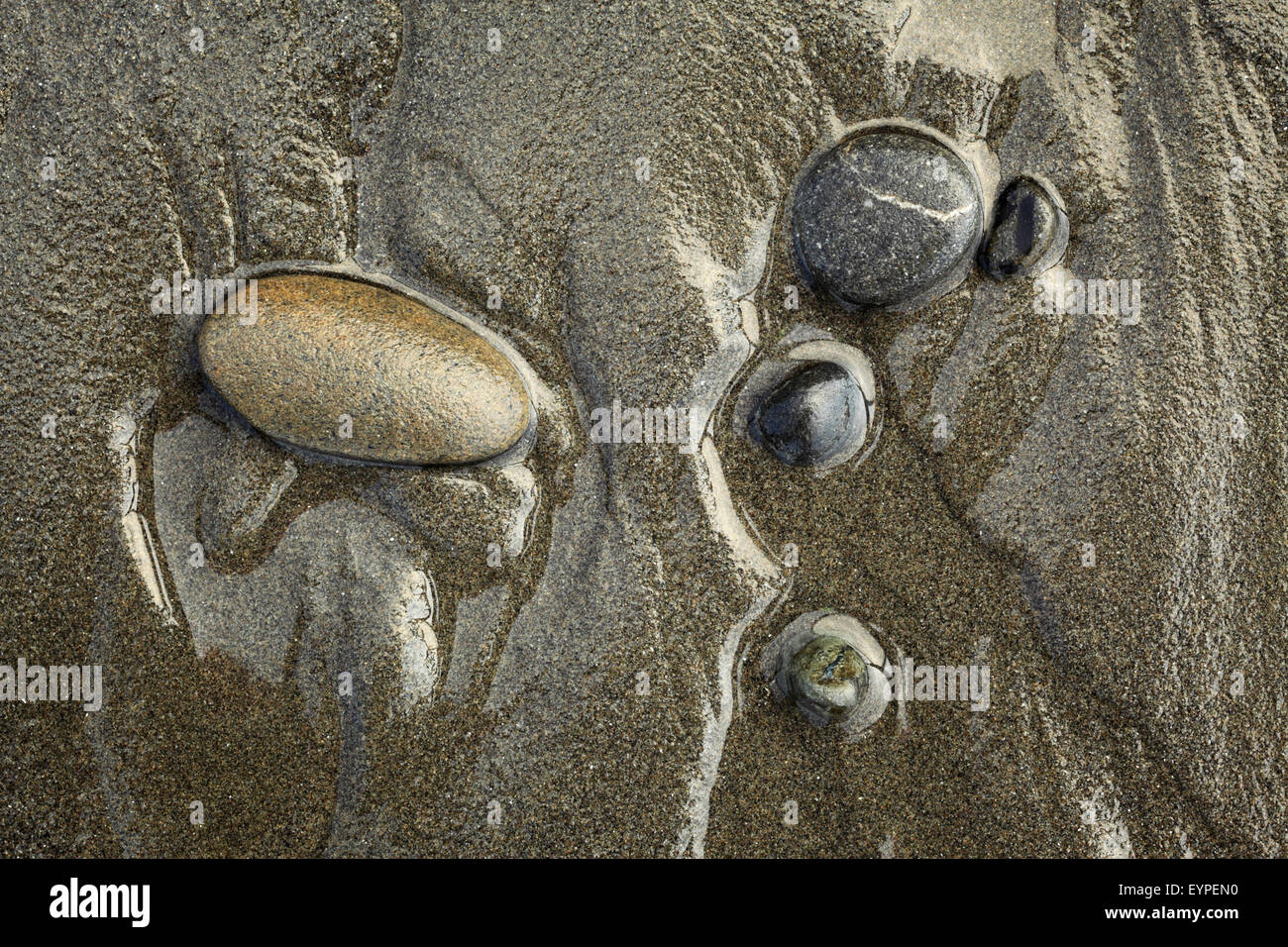 Rocks and tide runnels at low tide on Ruby Beach in Olympic National Park, Washington Stock Photo