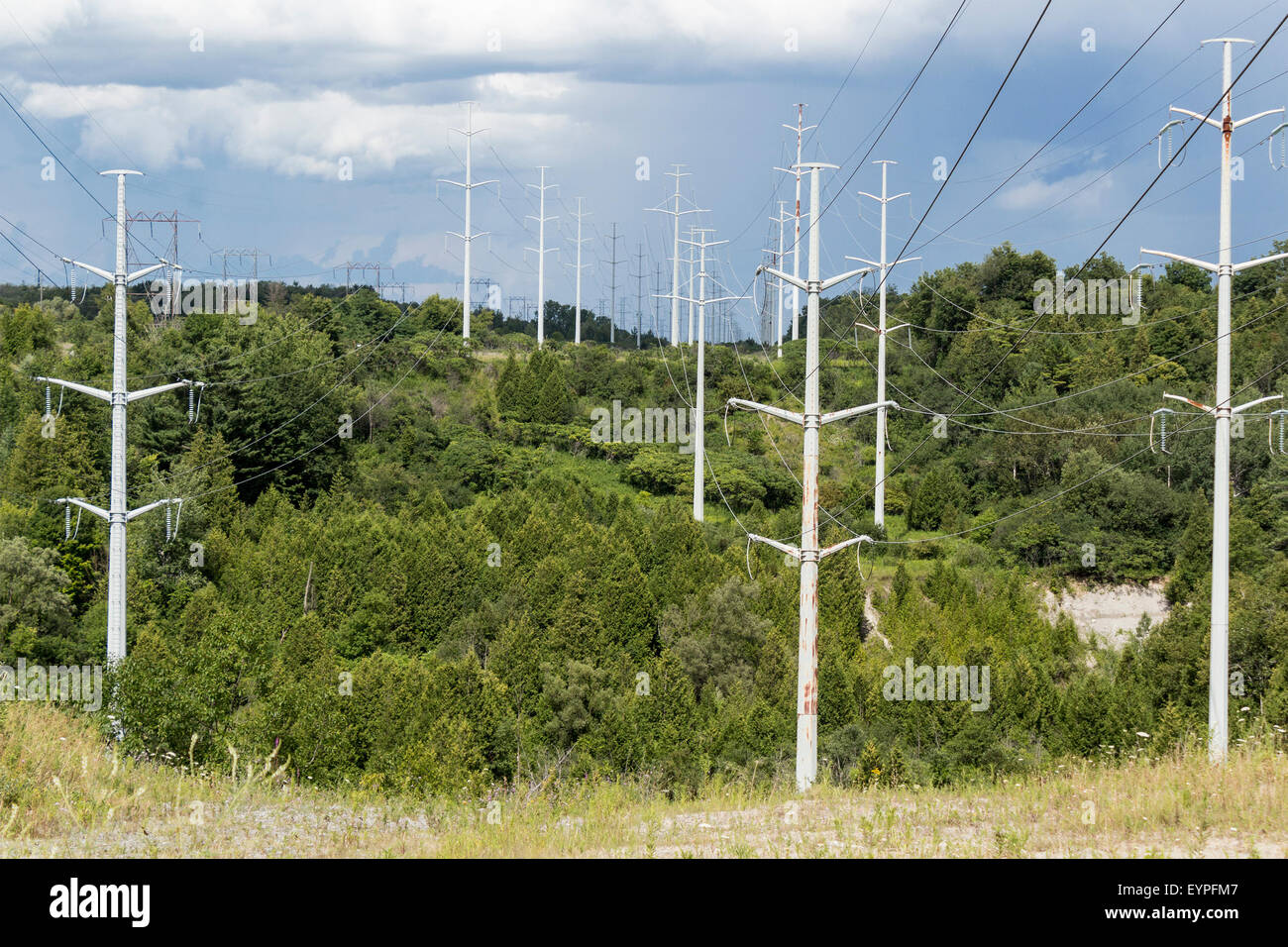 Hydro Electric transmission towers in the Rouge Valley Conservation Centre in Toroonto, Ontario Canada Stock Photo
