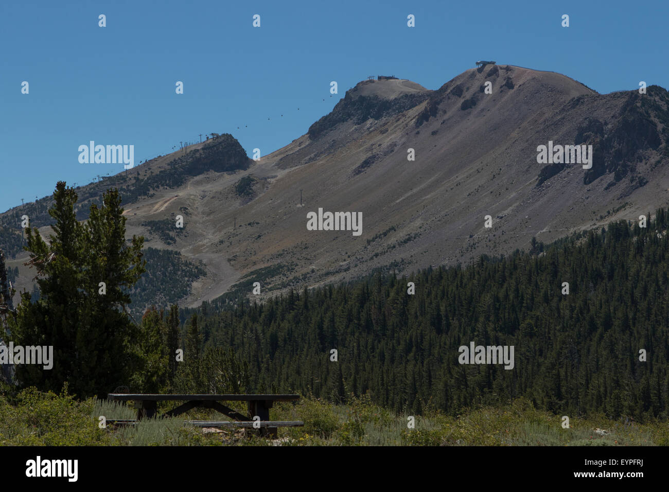 Mammoth mountain ski resort in the summer of 2015 Stock Photo