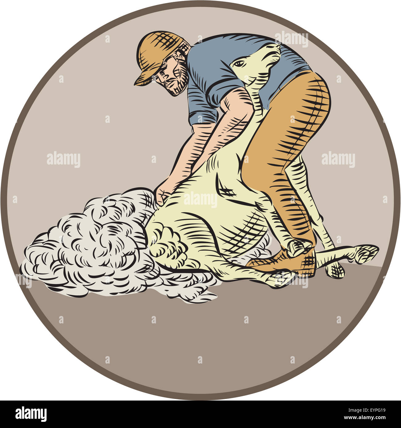 Etching engraving handmade style illustration of a farmworker, farmer, farmhand using shears shearing wool from sheep set inside circle on isolated background. Stock Photo