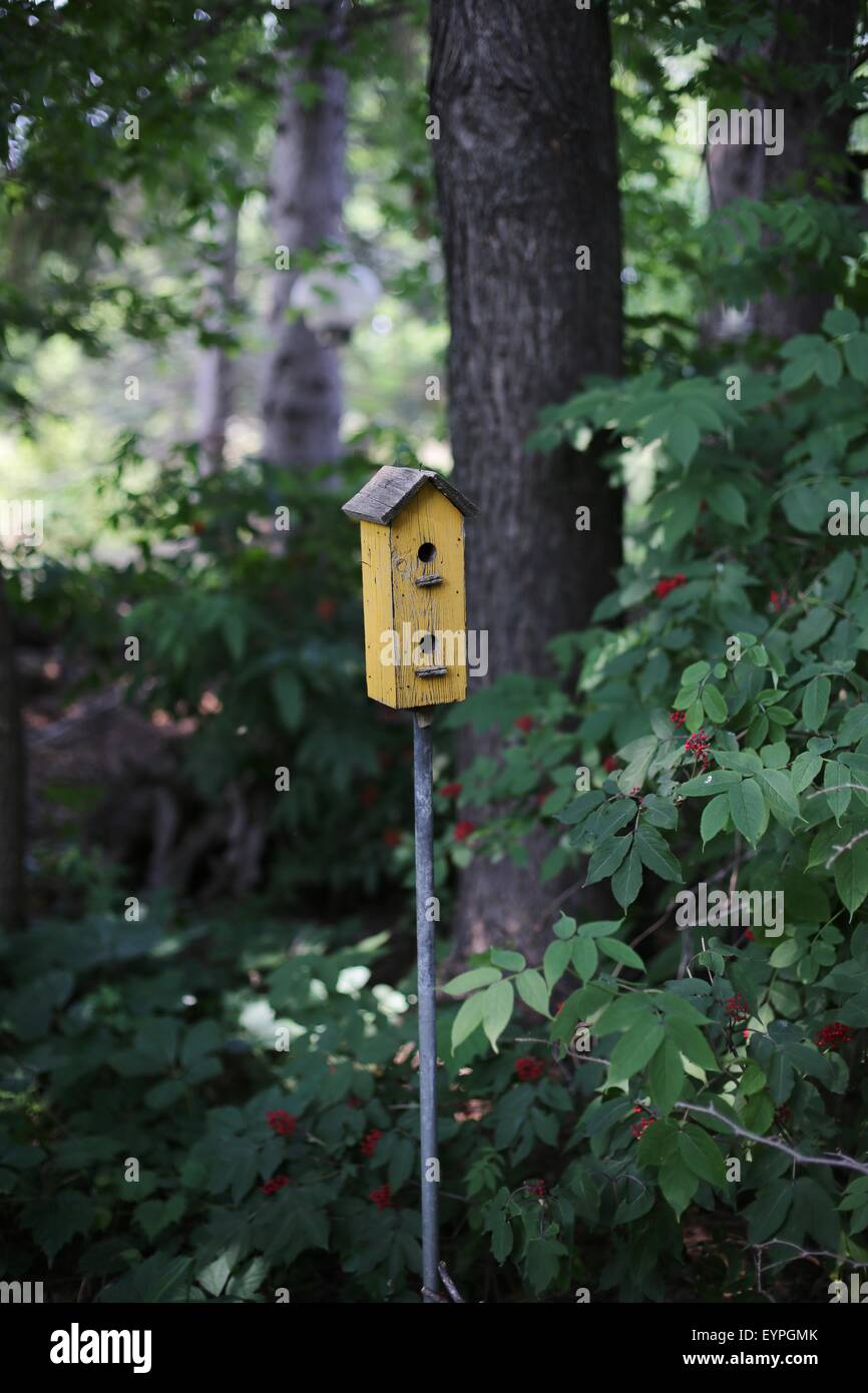 A yellow birdhouse in the woods. Stock Photo