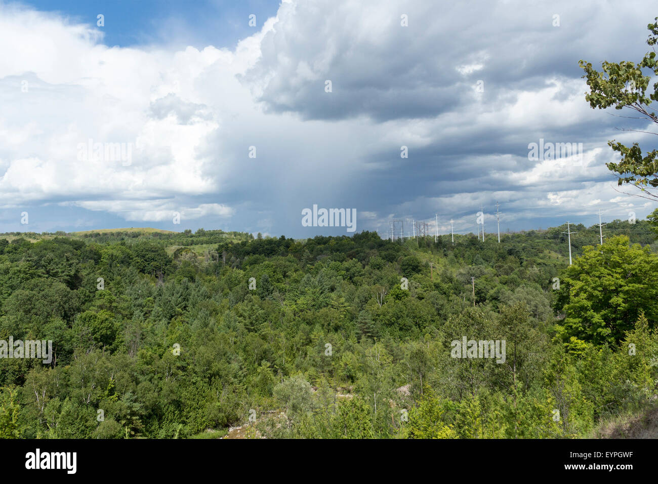 Thunderstorm active in the distance over Rouge Valley Conservation CEntre in Toronto, Ontario with power lines running through t Stock Photo