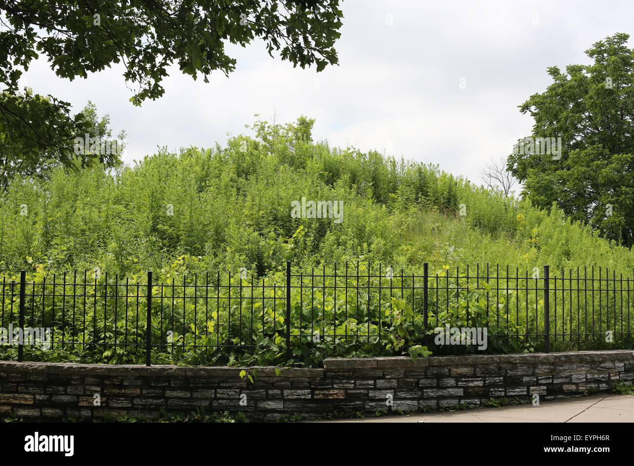 Indian burial mounds at Mounds Park in St. Paul, Minnesota Stock Photo