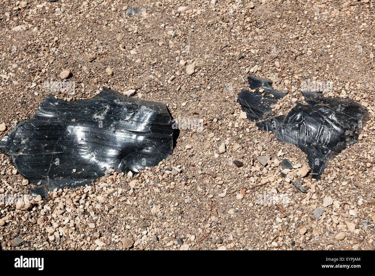Smooth black shinny obsidian rocks that were used by Native Americans