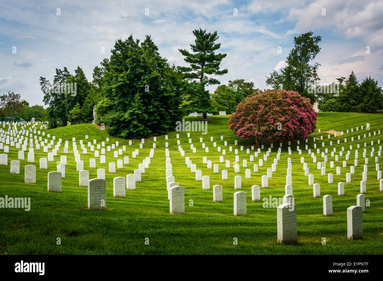 Rows of graves at the Arlington National Cemetery, in Arlington, Virginia. Stock Photo