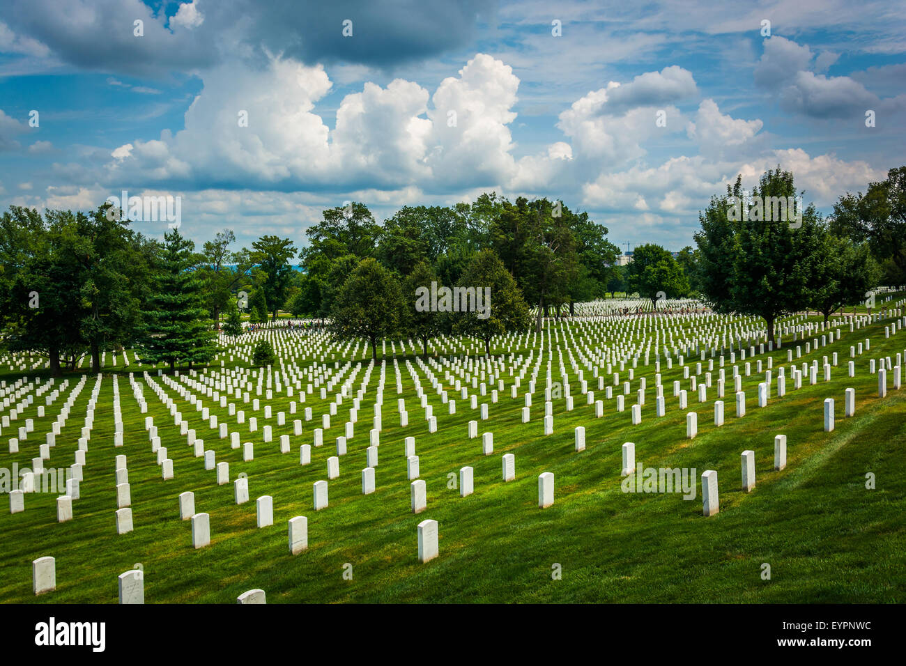 Rows of graves at the Arlington National Cemetery, in Arlington, Virginia. Stock Photo