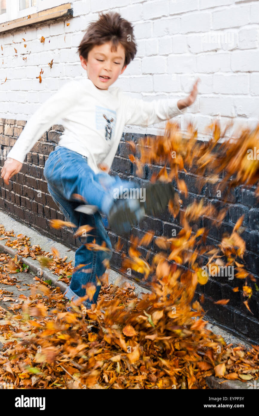 Caucasian child, brown haired boy, 7 to 8 year old, walking outdoors by brick wall, along leave covered road kicking the autumn golden leaves up. Stock Photo