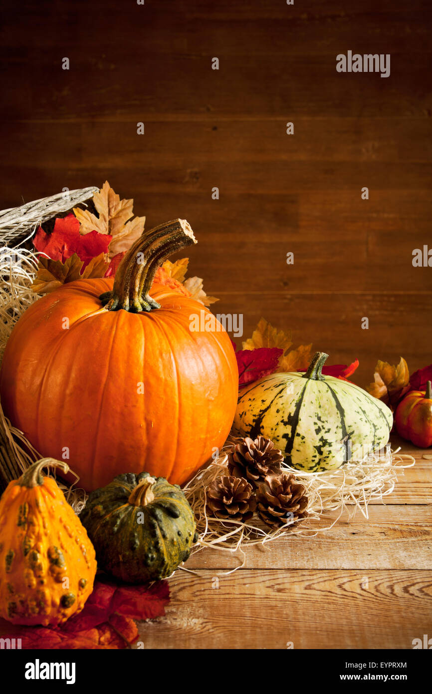 A rustic autumn still life with pumpkins and a Jack O'Lantern on a ...