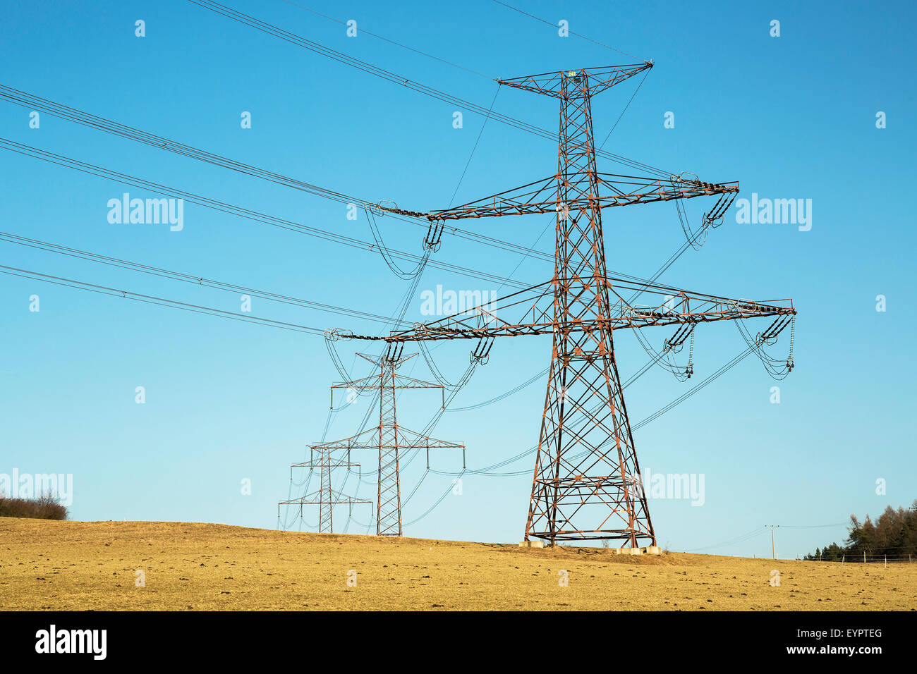 High voltage pylons, Power lines Stock Photo Alamy