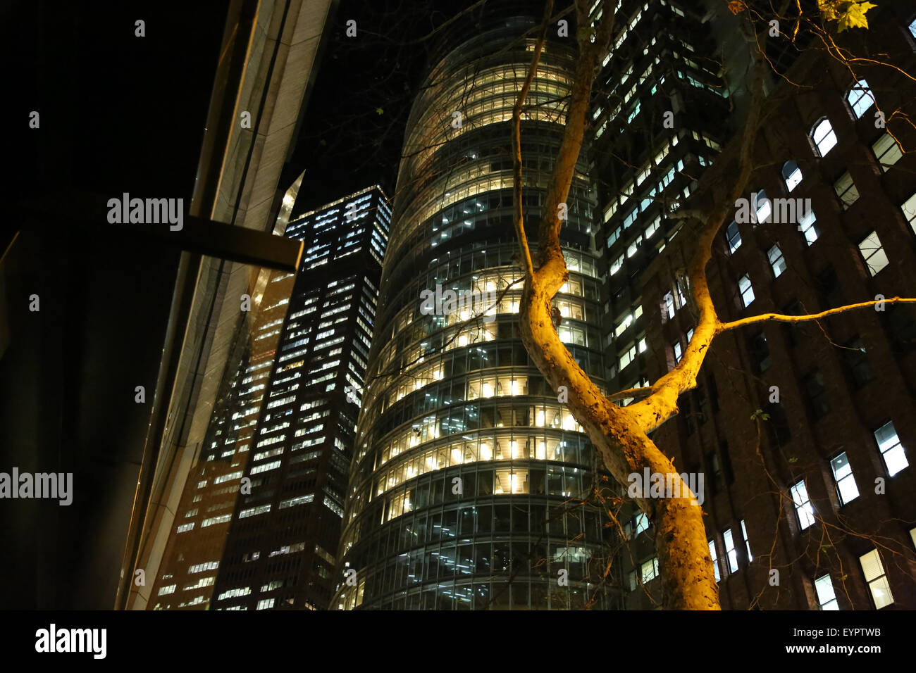 Street light tree office hi-res stock photography and images - Alamy