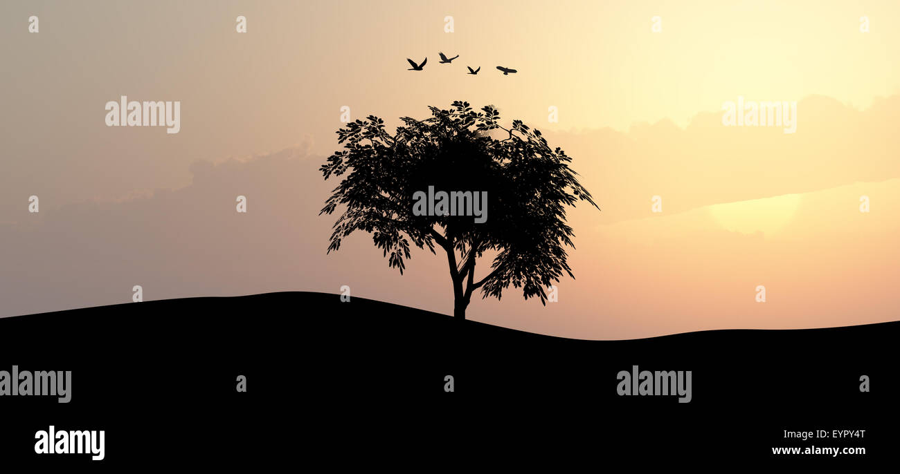 Front silhouette view of a tree on a hill by the sea or lake, on sunset ...
