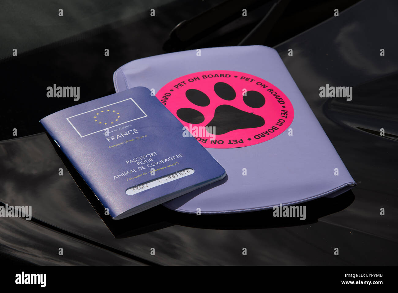 Passport for pets hires stock photography and images Alamy