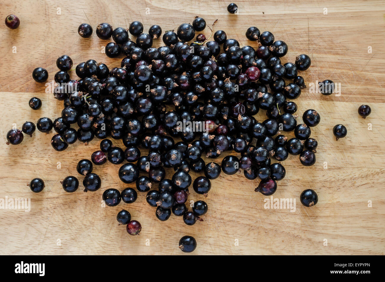 A large collection of blackcurrants freshly picked on wooden board background washed and ready to eat or cook Stock Photo