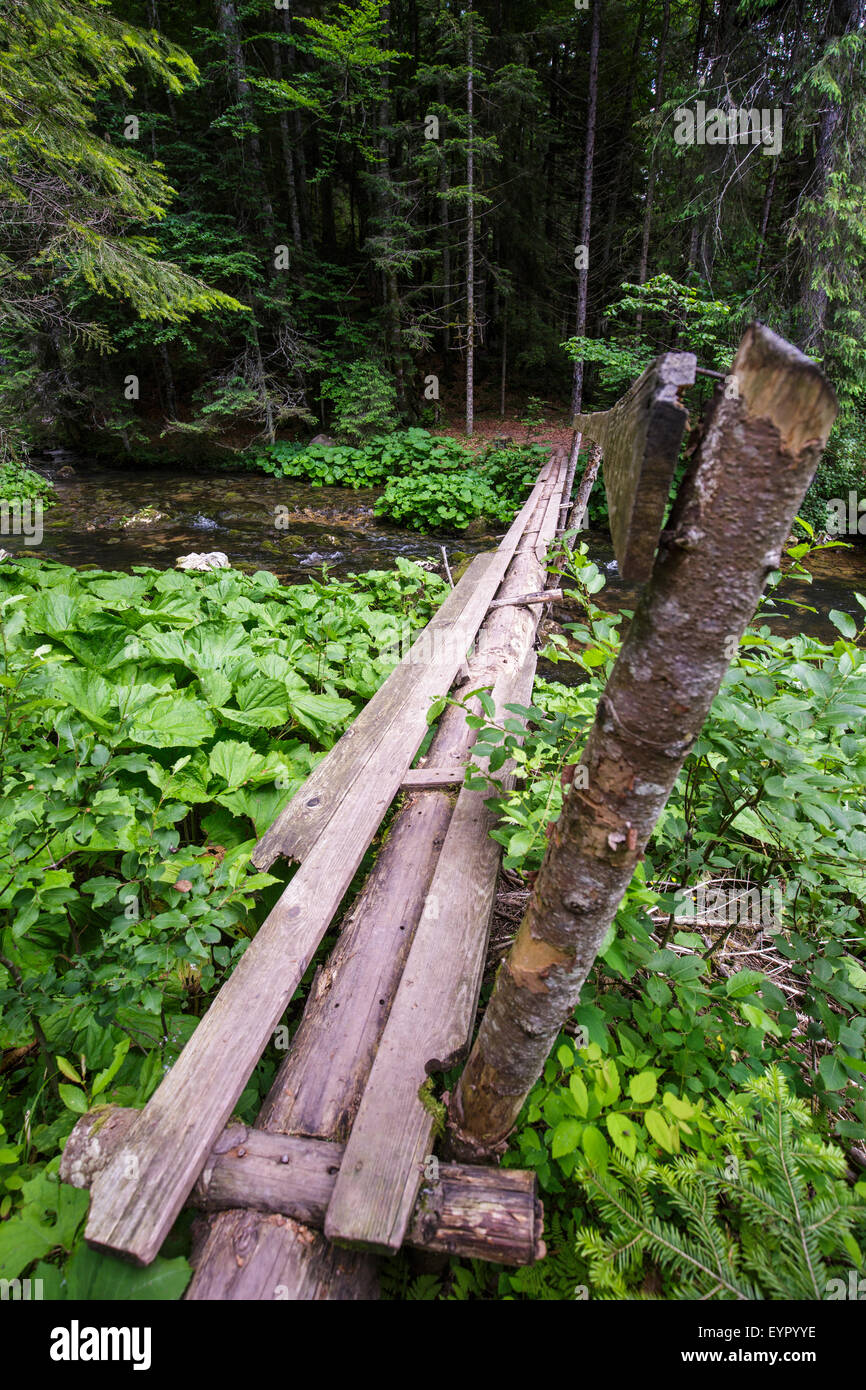 Wooden bridge across a creek in the forest Stock Photo - Alamy