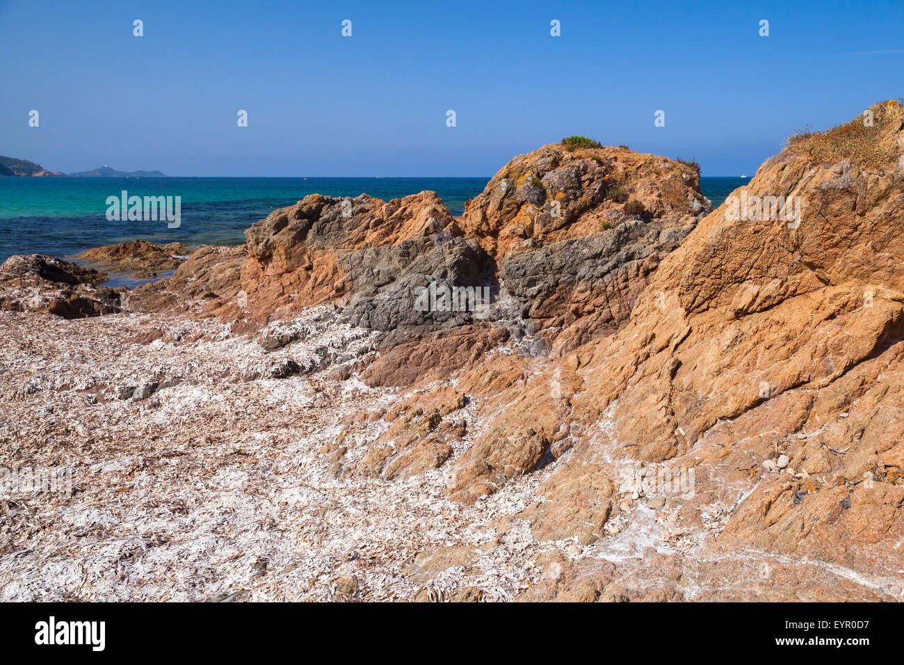 Dry algae on rocky Mediterranean coast. South region of Corsica island, France. Plage De Capo Di Feno landscape Stock Photo