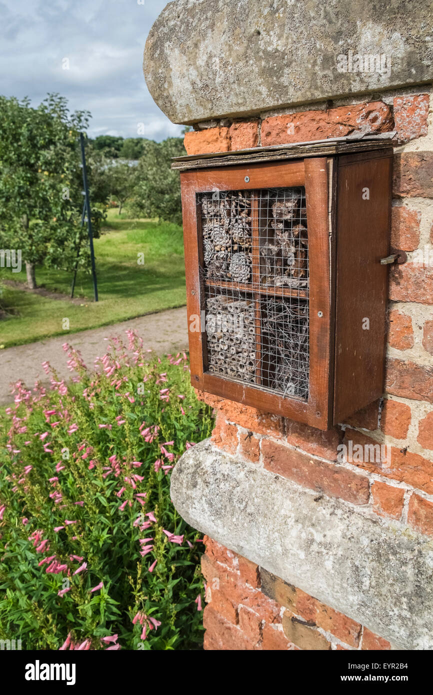 Insect hotel brick hi-res stock photography and images - Alamy