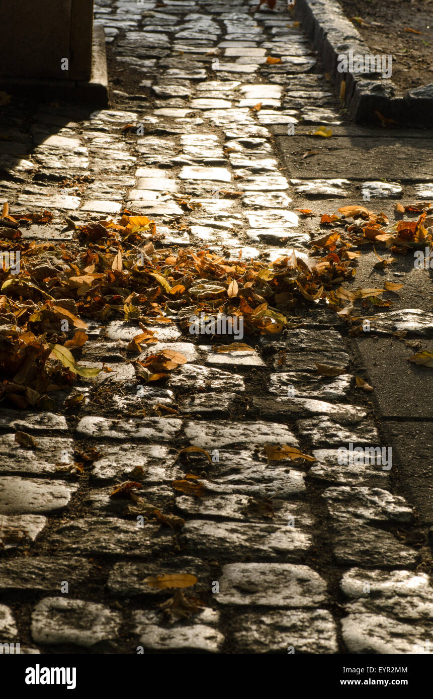 stone pavement with autumn leaves Stock Photo